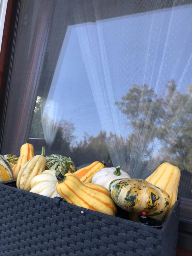 Viharsarki Apartman Gyula Bagian luar foto